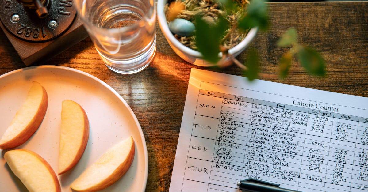 Maintenance calories — a balanced plate representing daily energy needs